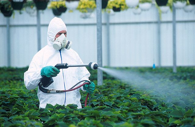 Nanopesticides: en ny løsning eller en ny trussel? 