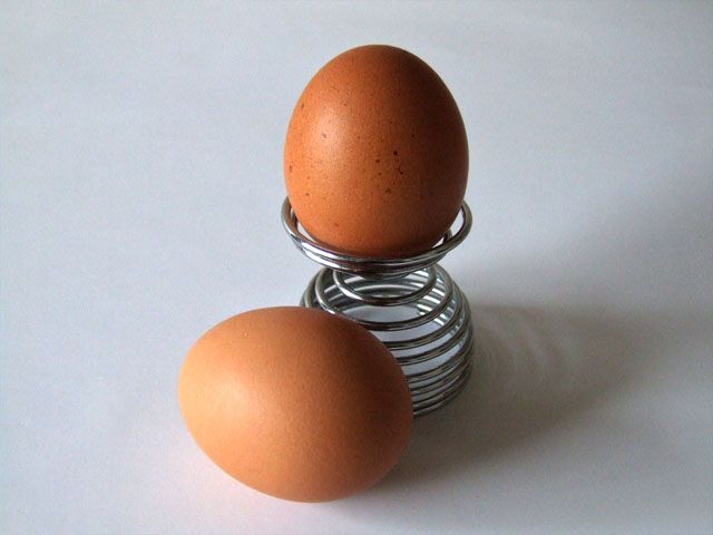 Ulemper med egg dietten